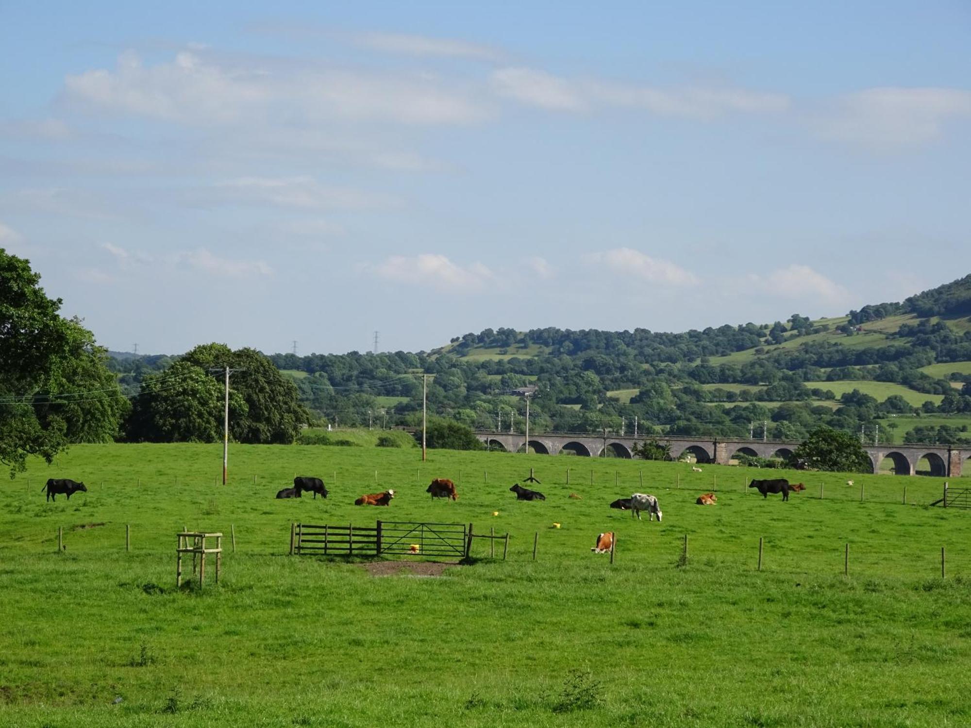 Bed and Breakfast Yew Tree Farm à Eaton  Extérieur photo